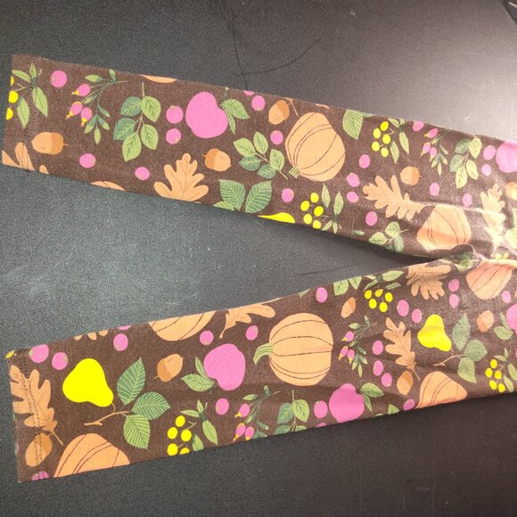 *Pre-Owned Children's Place Brown Matching Pants Set with Fall Season Accents* - Picture 6 of 9